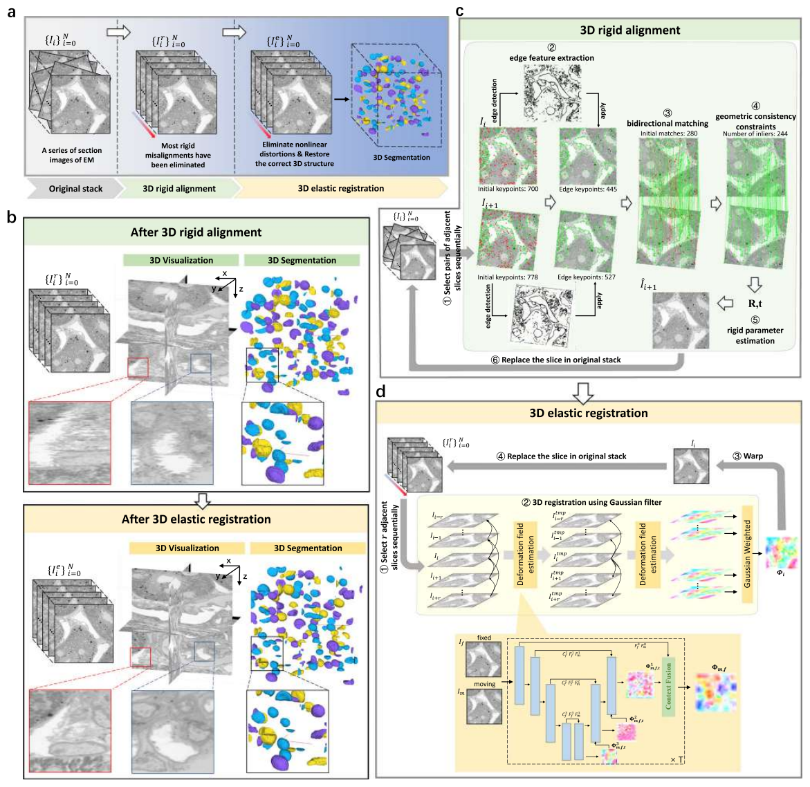 vEMRec: High-Resolution Volume Electron Microscopy Reconstruction Based on Structure-Preserving and High-Fidelity 3D Alignment